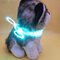 Dog LED  Adjustable Personalised Collar Polyester Pet Light-up Flashing Glow Safety  - Green