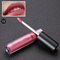 LIYADA Waterproof Matte Metallic Lip Gloss Cosmetics Liquid Lipstick Long-lasting Lips - C26