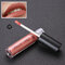 LIYADA Waterproof Matte Metallic Lip Gloss Cosmetics Liquid Lipstick Long-lasting Lips - C22