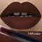TREEINSIDE Velvet Matte Liquid Lipstick Lip Gloss Color Makeup Long Lasting Pigment Sexy Red Lips - 14
