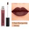 Long Wearing Lip Gloss Waterproof Liquid Lipstick High Intensity Pigment Matte Lipgloss Lip Cosmetic - 01