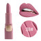 18 Colors Matte Lipstick Long Lasting Lip Stick Velvet Lip Makeup For Lip Beauty Comestic - 38
