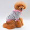 Dog Hoodies Sweater Cotton Color Matching Puppy Sports Teddy Clothes  - Grey