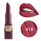 18 Colors Matte Lipstick Long Lasting Lip Stick Velvet Lip Makeup For Lip Beauty Comestic - 41