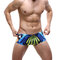 Quick Dry Printing Low Waist Beach Summer Swim Short for Men - #01