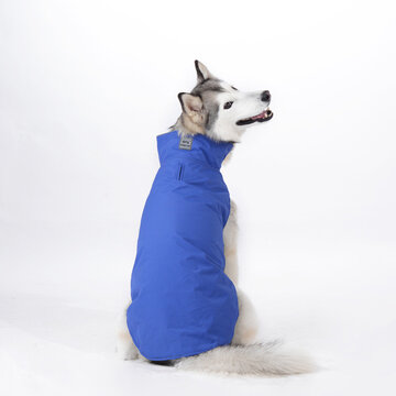 Светоотражающий Водонепроницаемы Собака Coats Winter Warm Padded Pet Puppy