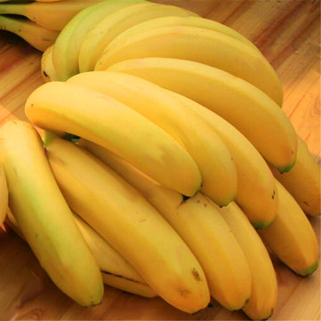 

Egrow 200Pcs Graden Banana Seeds