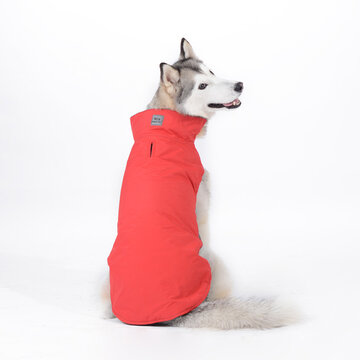 反射防水犬のコート冬の暖かいパッド入りのペットの子犬