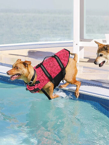 Hund Schwimmweste