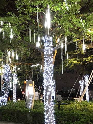 Waterproof Outdoor LED Meteor Rain Tubes Fairy String Light 