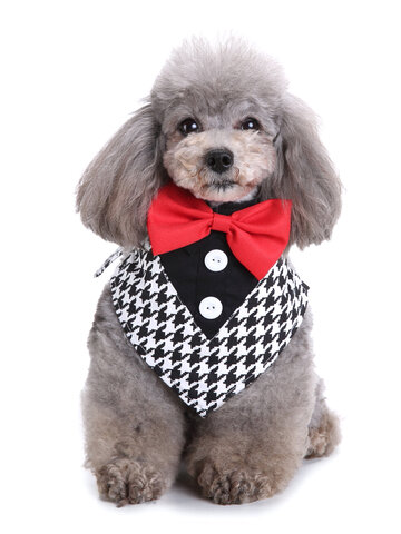 Регулируемый галстук-бабочка для собак