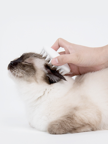 PETKIT Pet Cat Grooming Massage Device Brush