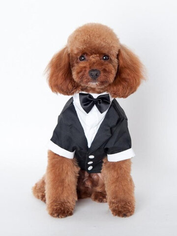 Puppy Clothing Gentleman Mounted Teddy Pet Clothes