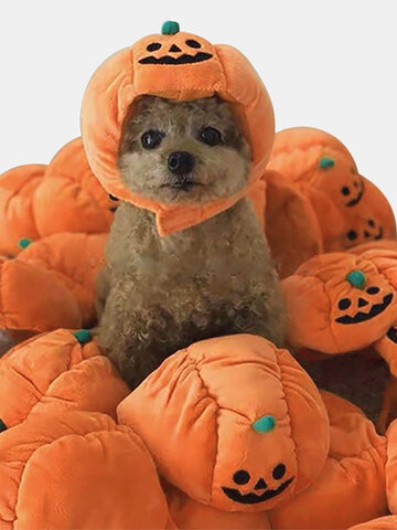 Pet Halloween Pumpkin Hat Teddy Dress Up Dog Cat Party  Accessories