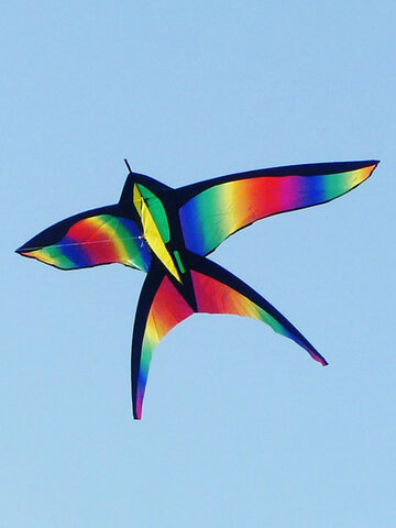 68Inch Swallow Kite Bird Kites Single Line Outdoor Fun Sports Toys Delta Kids Beach Toys