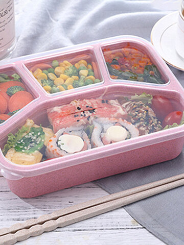 Environmental Healthy Lunch Box