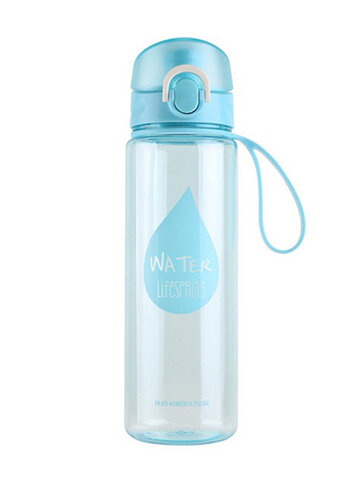 500ml Water Bottle 