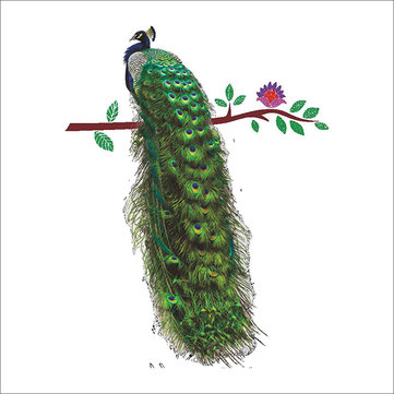 

3D Peacock Colorful Wall Sticker