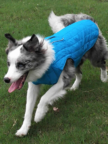 Double Sides Waterproof Pet Dog Reflective Vest