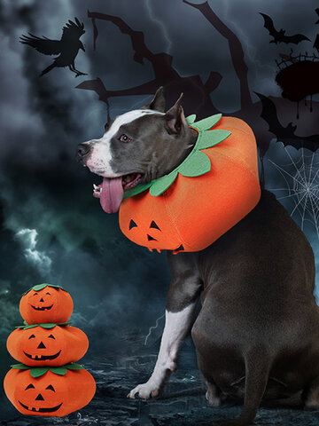 Halloween Pumpkin Dog Dress Up Multifunctional Dog Collar Pet Cat Party Transformation Costume