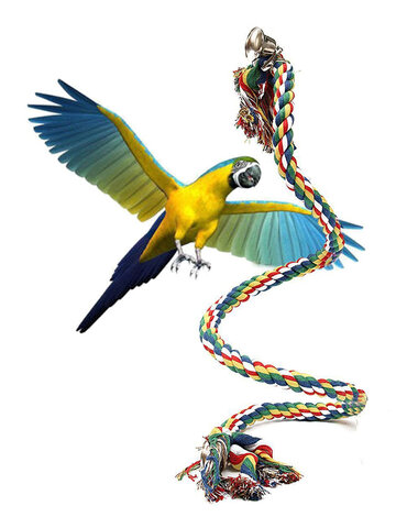 Pet Parrot Chew Rope Budgie Bell Bird Perch Coil 