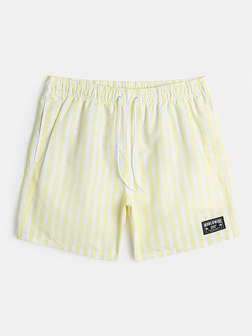 Striped Quick Dry Board Shorts