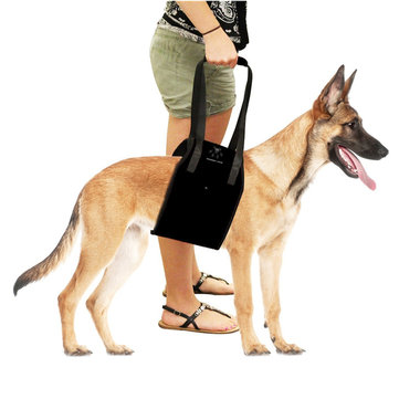 

Dog Lift Support Harness for Aid Lifting Older Canine