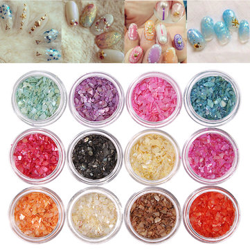 12 Colors Nail Art Glitter Crushed Shell Chips Powder Dust Tips DIY Decoration Set