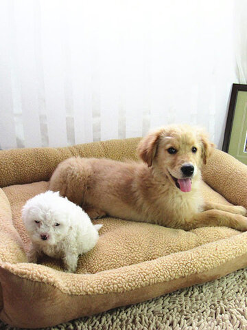 Suede Plush Pet Dog Sofa Bed Kennel 