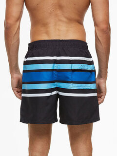 Quick Drying Stripe Casual Shorts Other Image